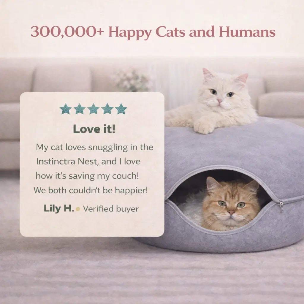 Instinctra Nest