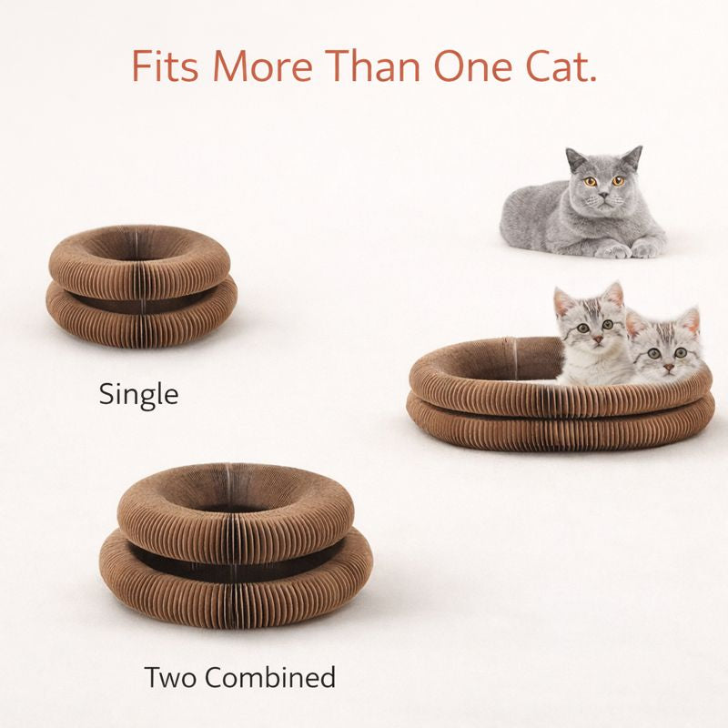 Instinctra™ Scratch Loop 🐾